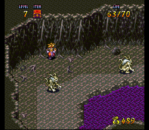 SNES TERRANIGMA